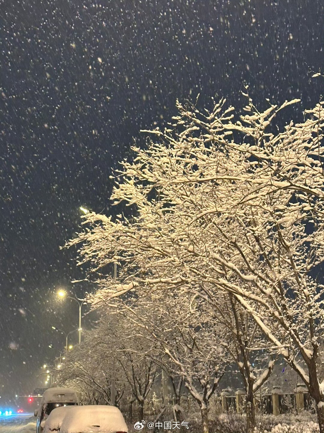 全国多地雪花纷飞，舞动的雪花与人们的喜悦之情