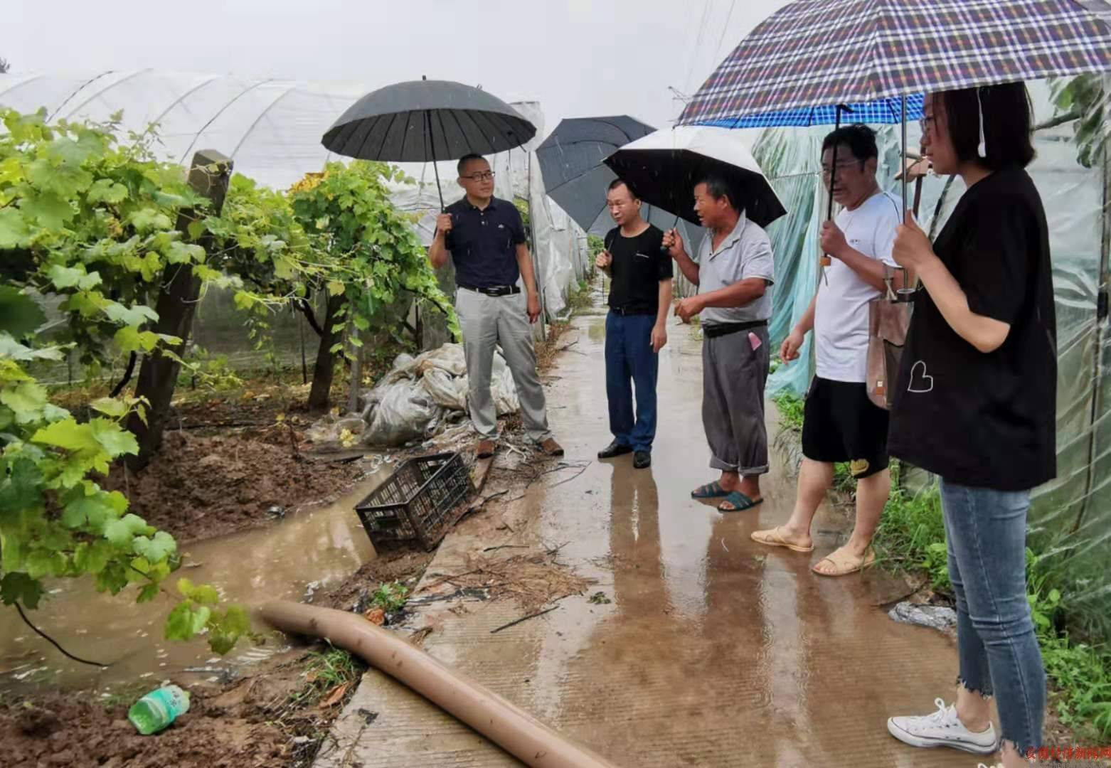 濉溪县农业农村局新项目推动农业现代化，乡村振兴再添新动力