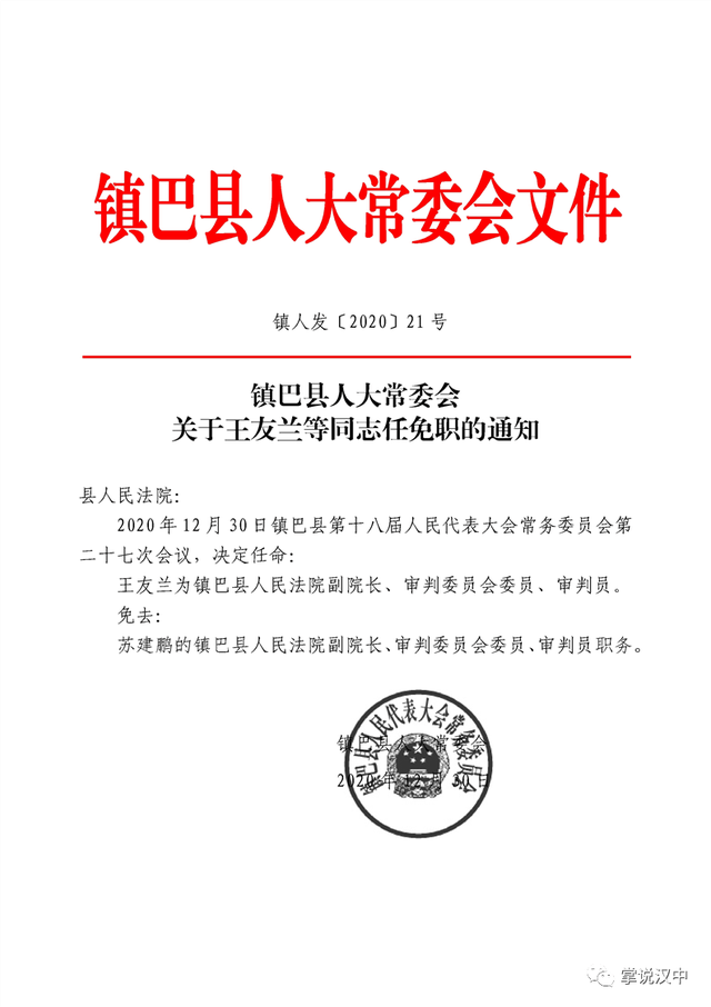 金阳村委会人事任命推动村级治理迈向新台阶