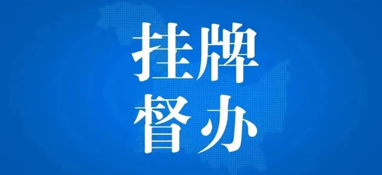 2024新澳门正版挂牌论坛,涵盖了广泛的解释落实方法_RemixOS41.35