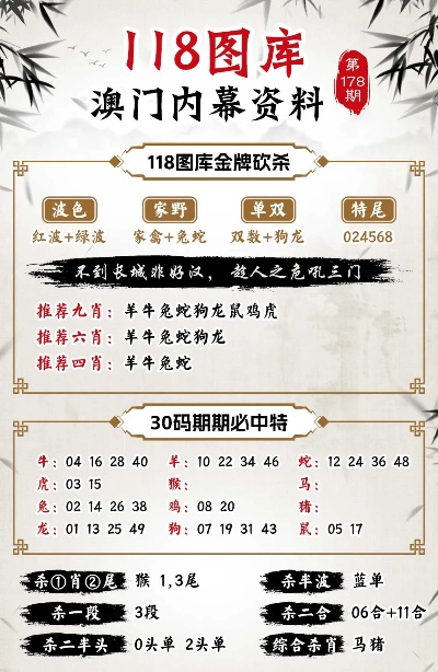 澳门王中王100%期期中,深度研究解释定义_XP57.491