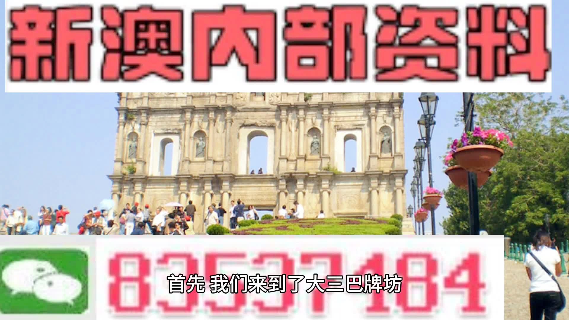 新澳精准资料免费公开,数据支持方案解析_Premium63.167