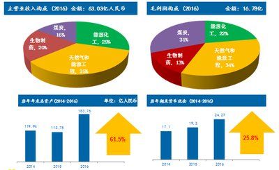 2024新奥最新资料,数据引导设计策略_P版13.469