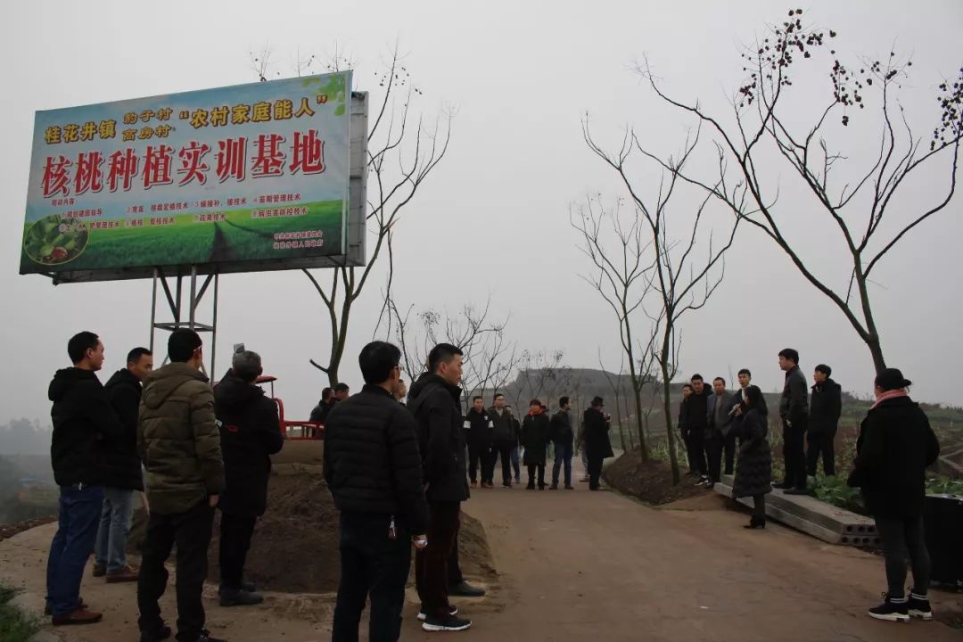 桂花镇发展规划揭秘，打造未来繁荣新都市