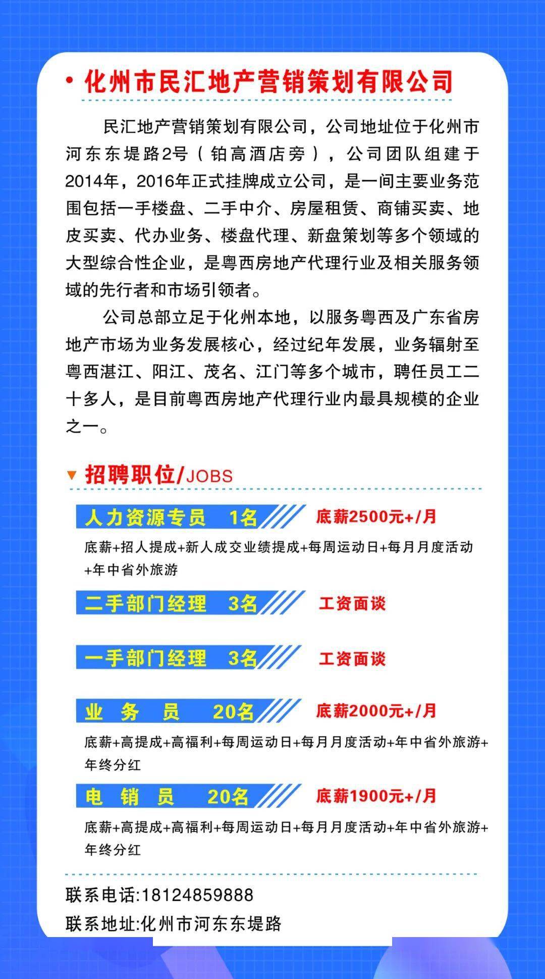 化州市统计局最新招聘公告详解