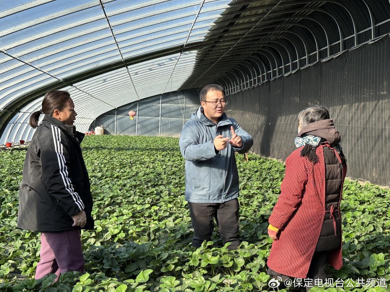 洪家农牧场最新新闻动态