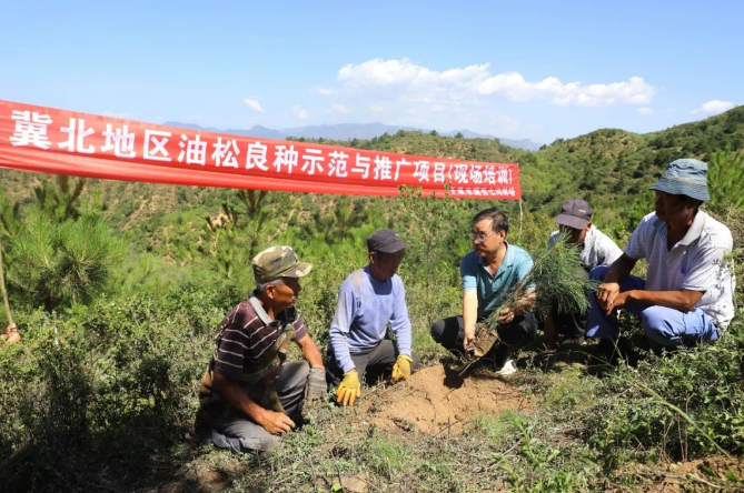 双鸭山林业局七星河林场领导团队最新概览