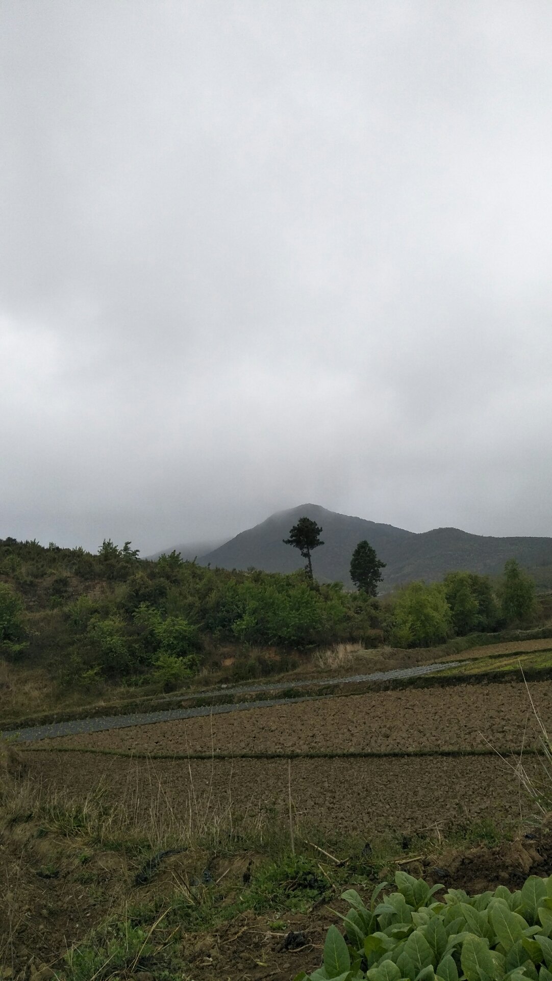 平头川乡天气预报更新通知