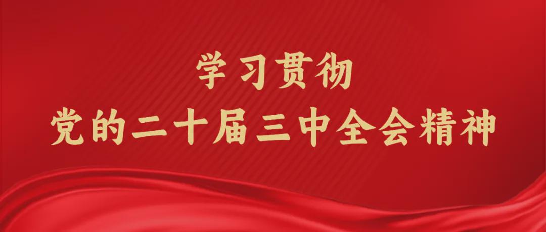 大理市小学人事任命重塑教育力量，开启新篇章