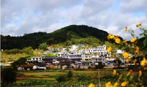 宝峰镇新星项目，引领地区发展的强大引擎