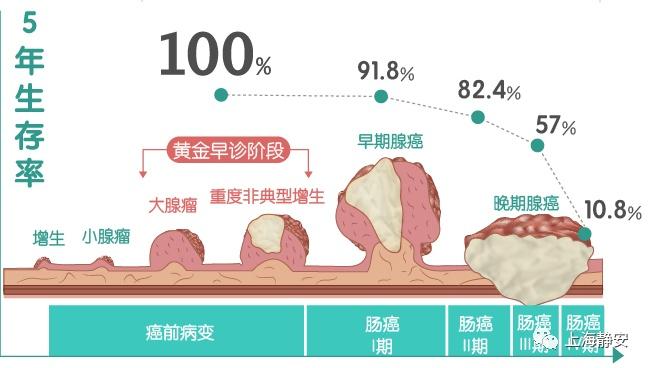 上海小区高空抛粪现象揭秘，背后的原因及应对之策