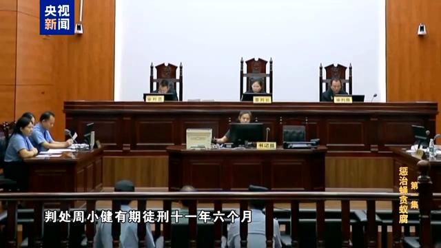 办事大厅背后的权力扭曲，贪官个人收款码的公然与反思