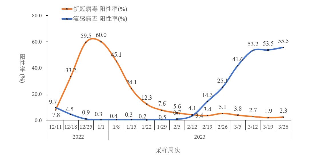 近期流感病毒特征与预防策略，中疾控报告甲流阳性率持续上升分析