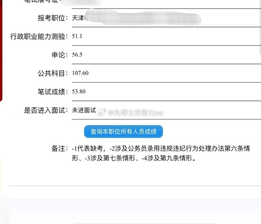 天津市考成绩查询，成绩背后的故事与启示探寻之路