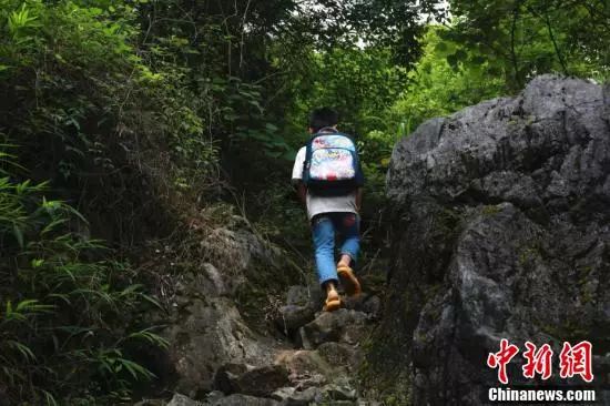 六岁男童独自离园遭遇，事件反思与启示