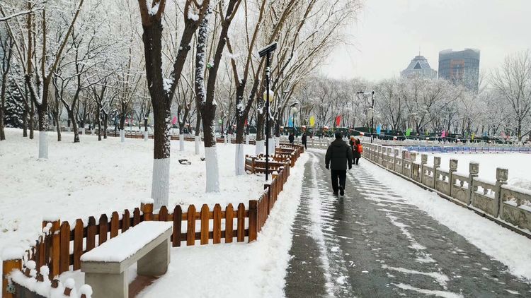 北京初雪迎未来，记第一场雪的美景