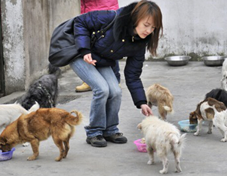 98年女子善举，酒席剩菜喂流浪猫狗，爱心照亮城市角落