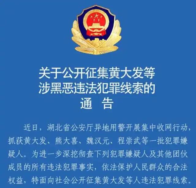 武汉高启强涉黑组织被成功摧毁，揭示黑恶势力真相