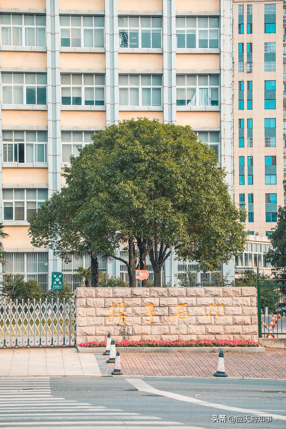 大厂回族自治县初中最新动态报道