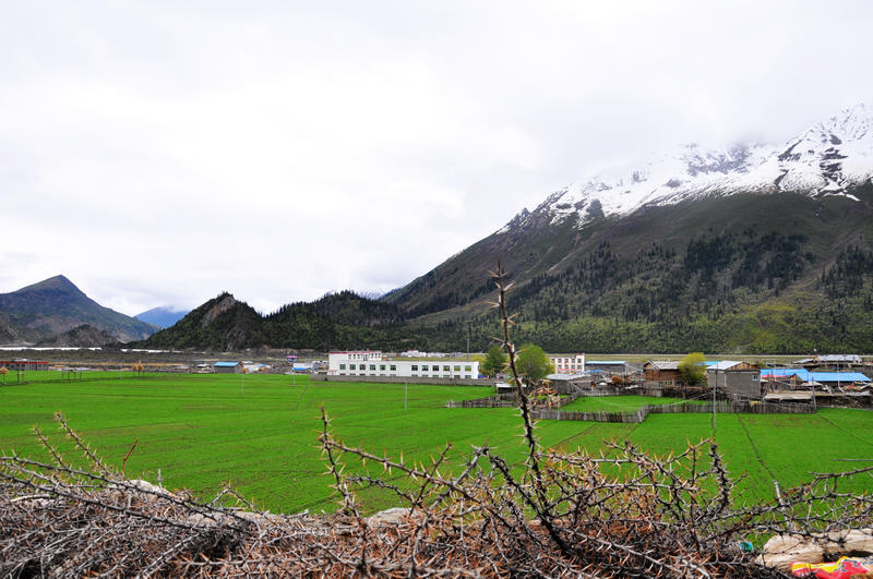 雪瓦卡村最新天气预报概览