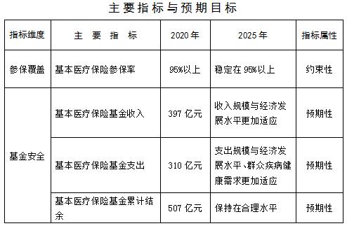 乐都县医疗保障局未来发展规划展望