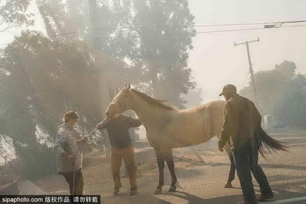 太空视角下的洛杉矶山火，灾难与科技交织的画卷