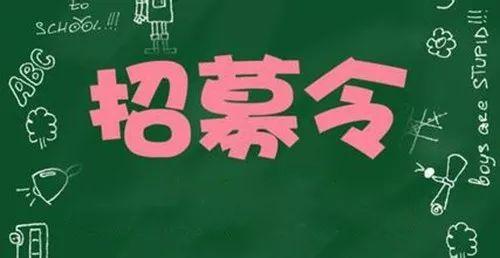 赤峰市招商促进局最新招聘概览