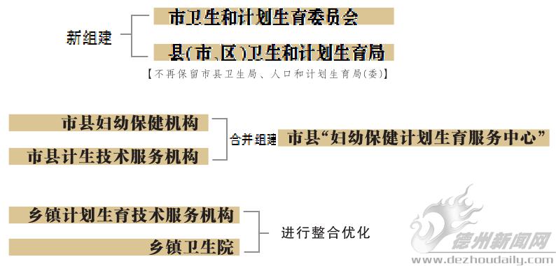 新浦区计生委发展规划构想与实施策略