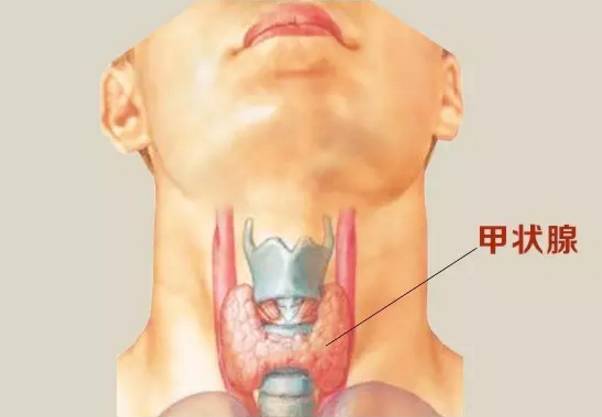 良好甲状腺功能的日常习惯与秘密探寻，保持甲状腺健康的秘诀