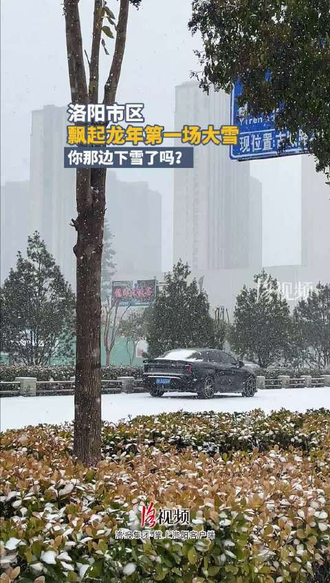 洛阳大雪纷飞，城市银装素裹