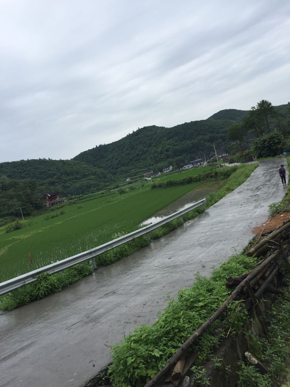 罗锦镇最新天气预报通知