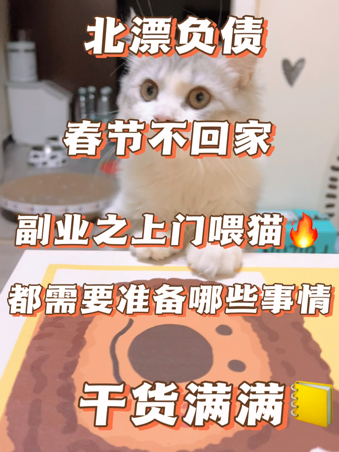 上门喂猫服务走红，商机还是行业新趋势？