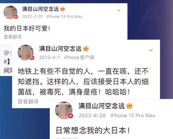 张某某涉嫌多项罪名，深入探究与剖析真相