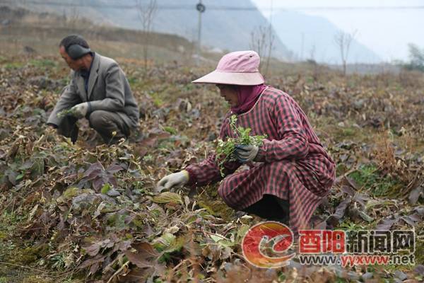 腴地乡最新新闻速递