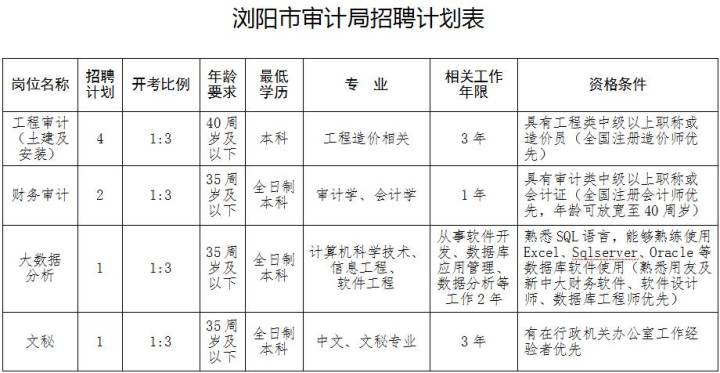 当阳市审计局最新招聘启事概览