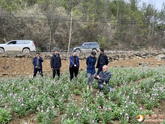 云雾土家族乡发展规划揭秘，走向繁荣与和谐共生之路