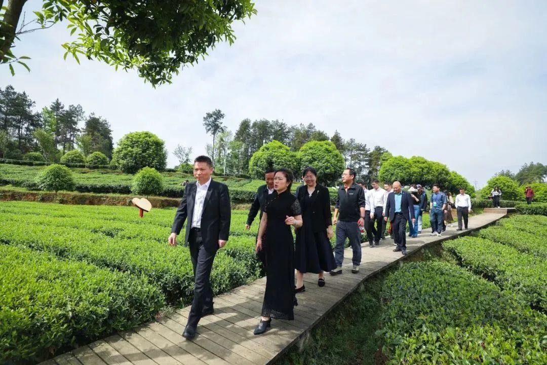 茶山街道新项目，先锋力量引领城市发展