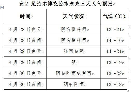 2025年2月19日