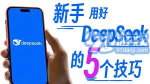 DeepSeek揭示，理想伴侣数量限定在个位数范围内