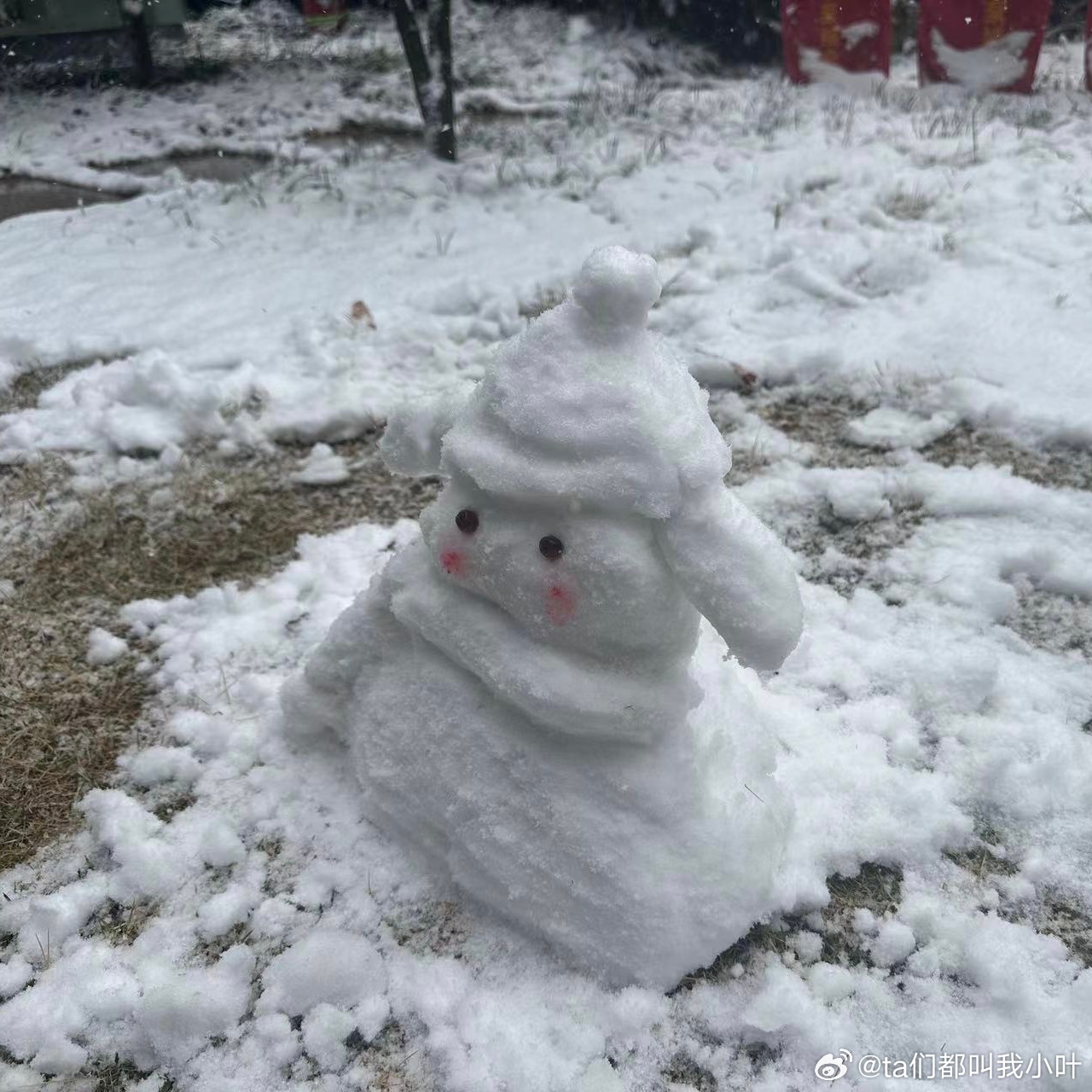 浙江实现一户一雪人，梦想成真！