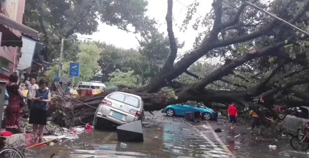 暴雨后的河南许昌，灾后景象与真相探究