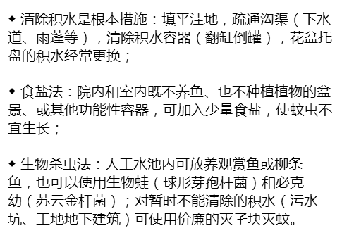 灭蚊神曲走红，专家深度解读与回应，震晕蚊子背后的故事