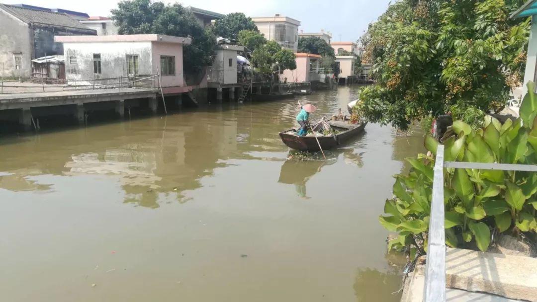 中国近十年水资源管理与节约战略成效显著，用水总量实现零增长