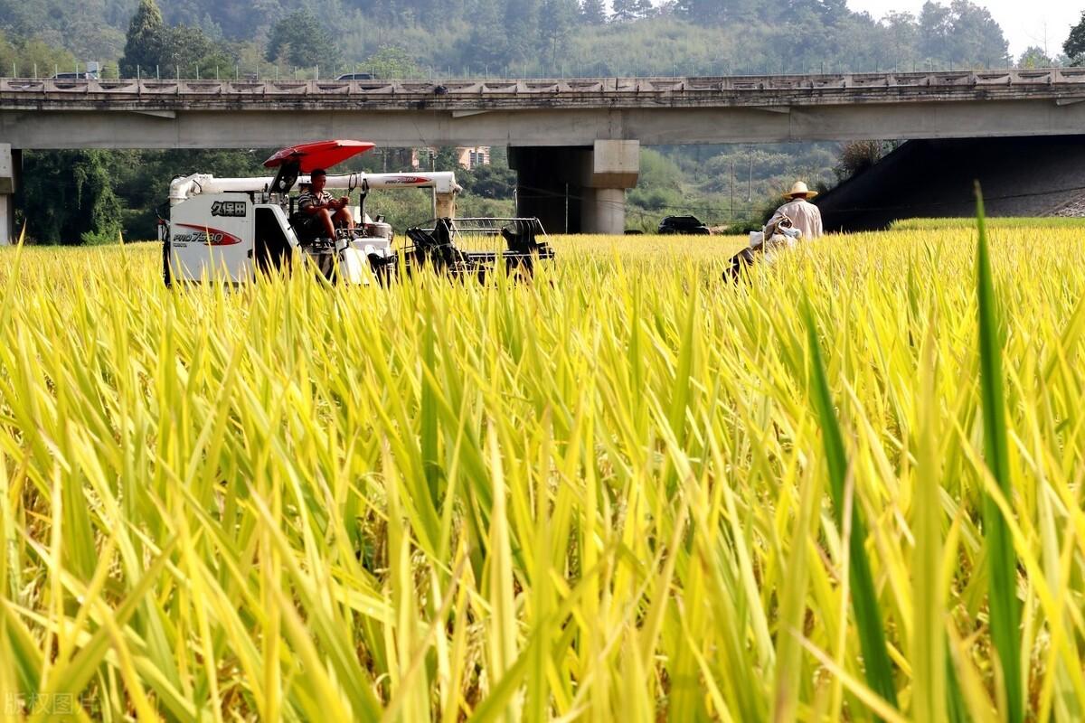 娄底市农业局最新资讯动态