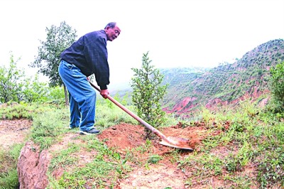 山东六旬夫妻22年植绿一座山