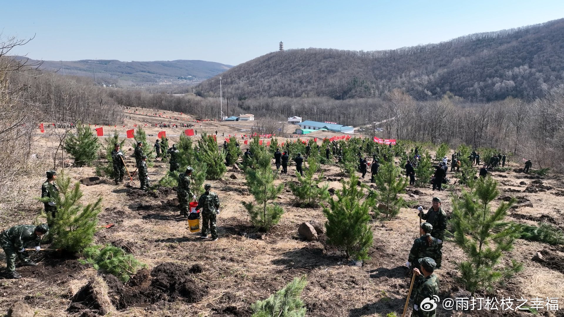 太平川机械林场最新项目