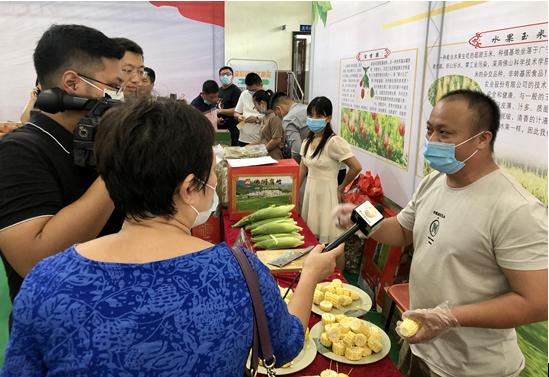 肇庆市市邮政局最新项目