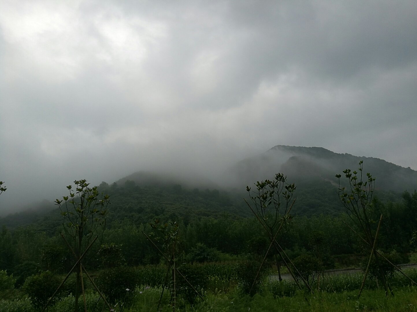 雷打石镇最新天气预报